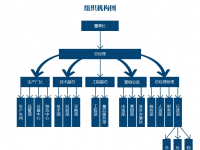 企业组织架构